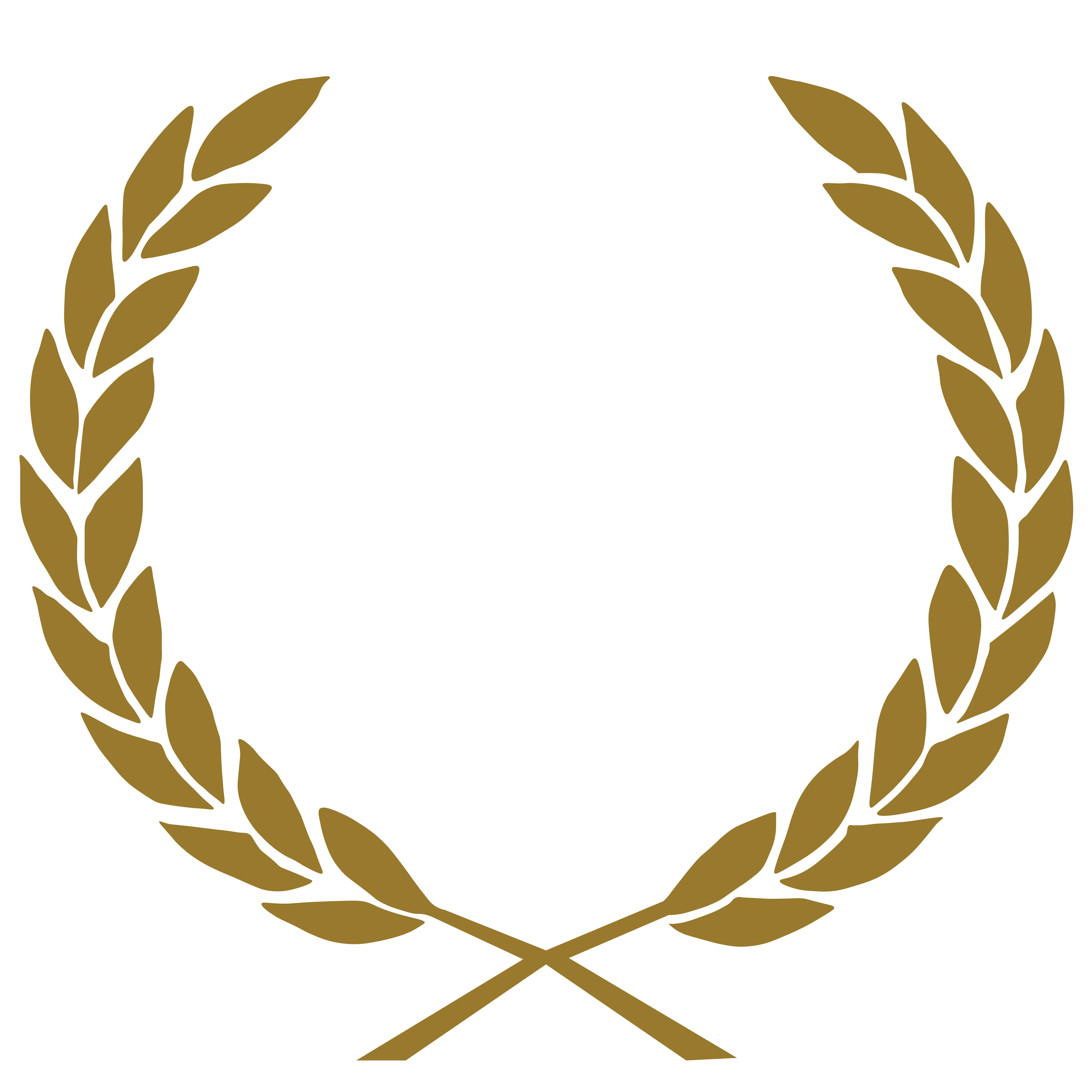 Safety and Risk Intelligence Logo